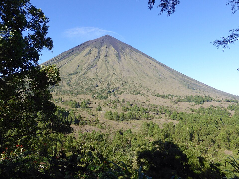 The near-perfect cone of Mount Inerie rising above green forests near Bajawa