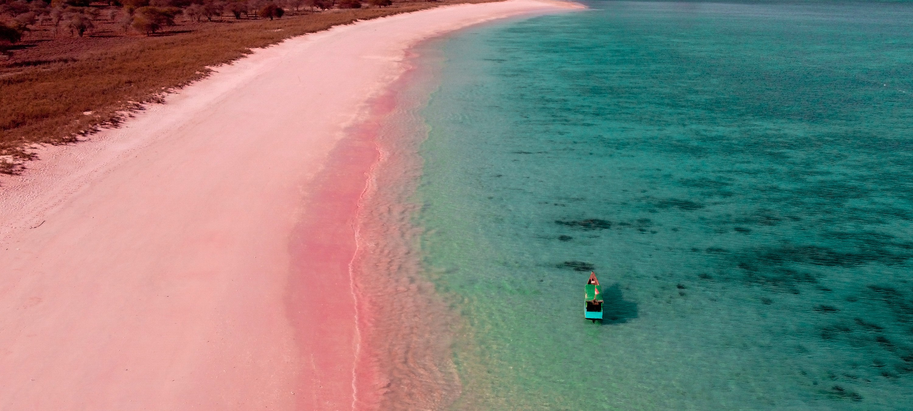 Aerial view of Pink Beach on Padar Island: salmon-pink sand curving along the shoreline, turquoise water shallowing to pale green, with a small boat offshore
